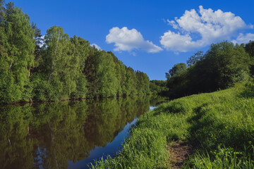 Beautiful summer landscape, forest trees are reflected in calm river water against a background of blue sky and white clouds.