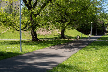 An empty alley in the park on a warm sunny day