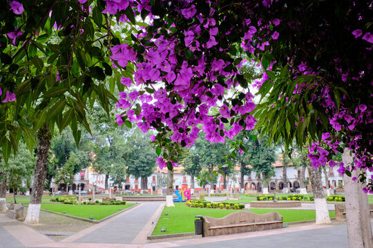 Plaza del pueblo Magico Patzcuaro Michaocan