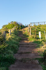 Walkway going up at the hill.