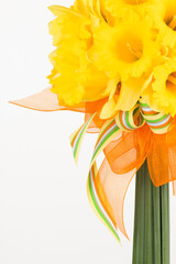 Hand Tied Bouquet of Fresh Cut Yellow Daffodils