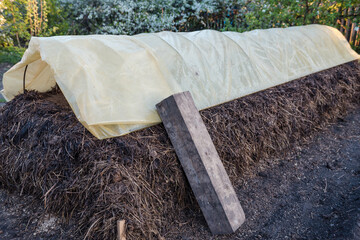 Manure bed. Organic fertilizers. Grow vegetables. Natural fertilizers. Countryside. Grow vegetables in the garden.