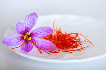 saffron flower and saffron threads on a white plate on a white background