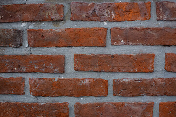 Fototapeta premium brick wall texture