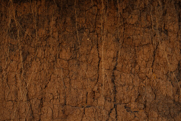 Texture of land dried up by drought, the ground cracks background with grunge. Black Soil Texture Background. Top View of a Dark Ground Surface. Close Up Macro View of Dirt and Stones. Soil and roots