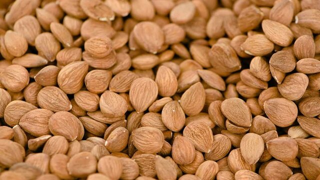 Some shelled Apricot Kernels on a rotating plate (seamless loopable)