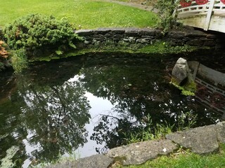 Fototapeta na wymiar wooden bridge with reflective water in pond or stream