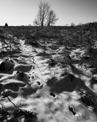 footsteps in snow