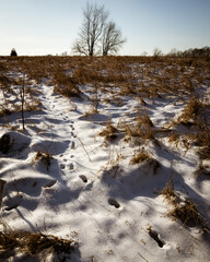 frozen river in winter
