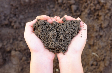 Close-up Soil in child hands holding.