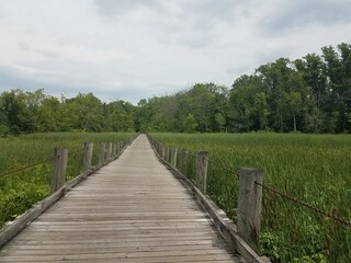Fototapeta na wymiar wood trail in the wetland or swamp
