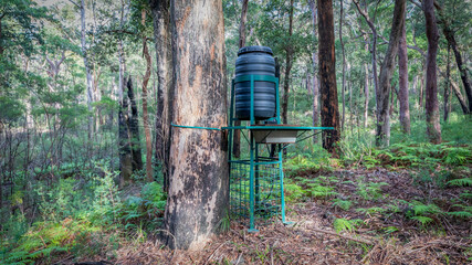 Fototapeta premium A wildlife watering system in the Australian National Parks program