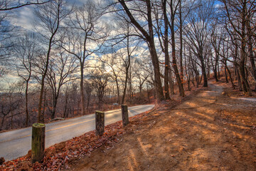 Fototapeta premium early winter scene of a forested hillside with a red dirt path leading to the top, road winding through with one car approaching from the distance, sunlight diffused through clouds, spots of blue sky 