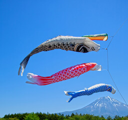 Colorful koinobori carp kites at the Asagiri Highlands near Mount Fuji in Japan.