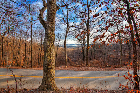 winter view from river bluff across road and through a forest of barren trees, tops of trees in silohette to a blue sky with scattered white clouds, red, orange and blue dominate, Pier Marquette Il. 
