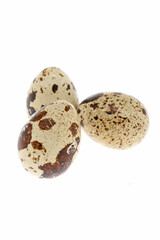 Quail eggs are isolated on a white background