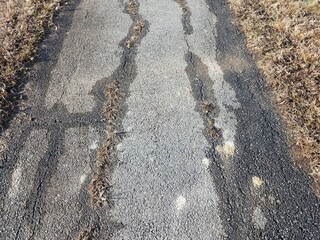 wet black asphalt trail or path with grass