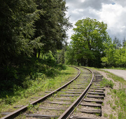 Obraz premium Old train track and green forest along a nature trail in Muskoka Ontario in spring