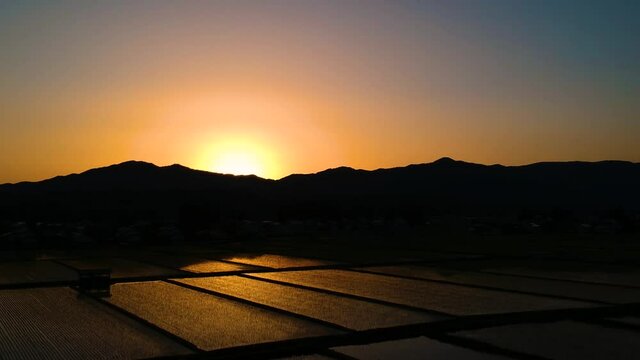 空撮　水田に反射する夕日　6月　秋田県の田園風景