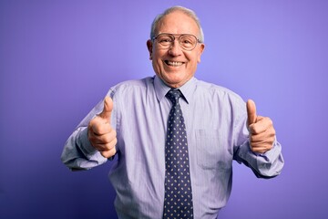 Grey haired senior business man wearing glasses standing over purple isolated background success sign doing positive gesture with hand, thumbs up smiling and happy. Cheerful expression and winner