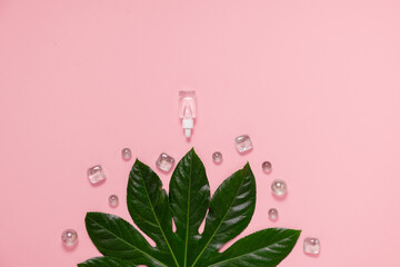 Hyaluronic acid Dropper transparant glass Bottle on pink background. Skincare and health concept. Glass bottles  on tropical leaves.
