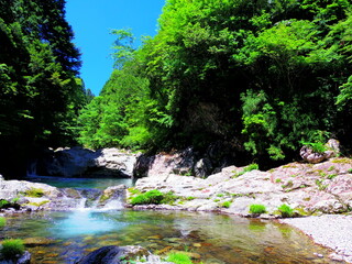 川辺