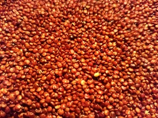 Close up of a pile of red quinoa seeds