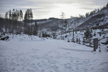 ZAKOPANE POLAND IN WINTER