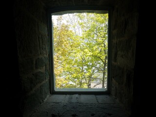 view of green leaves and branches from window inside stone building