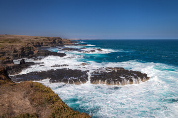 The Nobbies at Phillip Island