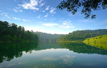 Beautiful lake landscape with reflection of forest at the background.