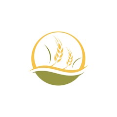 Agriculture wheat Logo Template vector icon design. Vector illustration