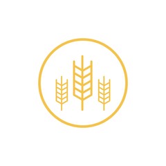 Agriculture wheat Logo Template vector icon design. Vector illustration