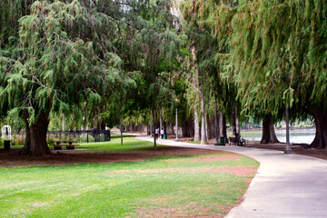 A walkway in the Fairmount park, downtown Riverside