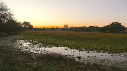 atardecer en la laguna