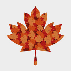Autumn maple leaf vector design