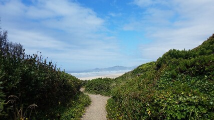 Fototapeta na wymiar trail or path leading to beach with sand and waves