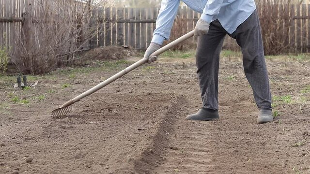 man works rake in the garden