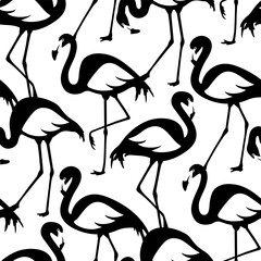 Vector seamless pattern with black and white flamingos