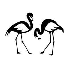 Vector isolated flamingos pair. Black and white illustration