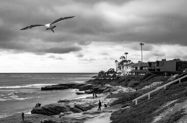 San Diego Windansea Beach