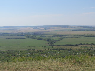 landscape with cows in the field