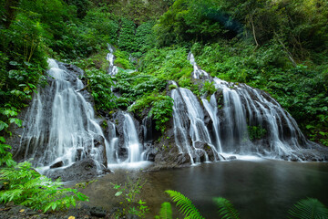 Fototapeta na wymiar Waterfall landscape. Beautiful hidden waterfall in tropical rainforest. Nature background. Slow shutter speed, motion photography. Pucak Manik waterfall, Bali, Indonesia