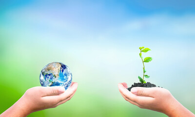 World Environment Day concept: hand holding tree planting and  earth on  green nature background, this image furnished by NASA