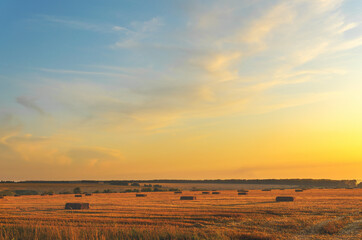 sunset over the field
