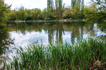 The lake is calm, in the background are green trees. Landscape