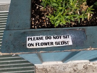 please do not sit on flower beds sign and green plant
