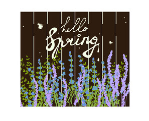 Hello spring inscription on the fence with light paint. Meadow flowers and herbs. Vector illustration, flat cartoon, eps 10. Concept: the onset of spring, the change of seasons, March, natural decor