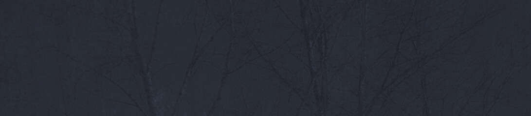 Fototapeta premium abstract dark grey and blue colors background for design