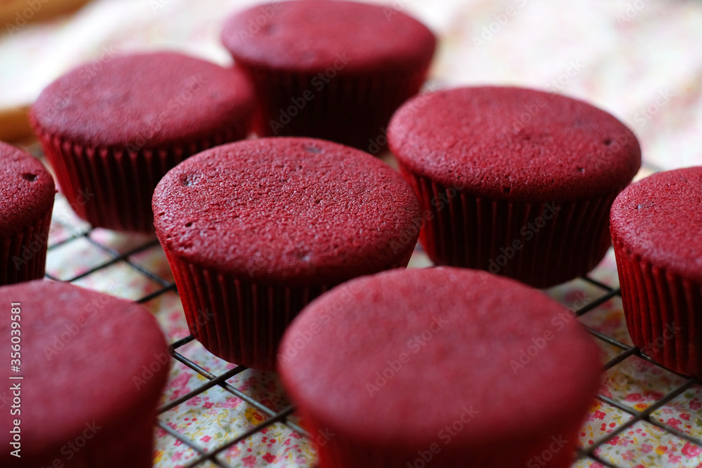 Wall mural homemade red velvet cupcake without topping.